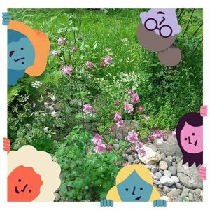 Meet your Posher, Ann